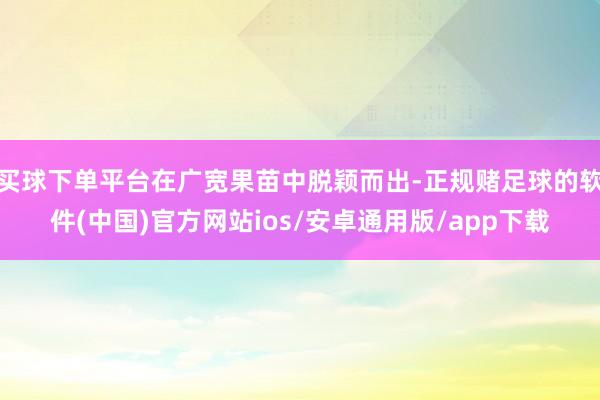 买球下单平台在广宽果苗中脱颖而出-正规赌足球的软件(中国)官方网站ios/安卓通用版/app下载