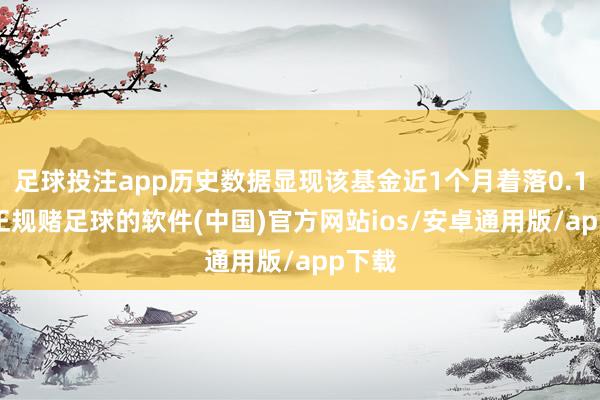 足球投注app历史数据显现该基金近1个月着落0.17%-正规赌足球的软件(中国)官方网站ios/安卓通用版/app下载