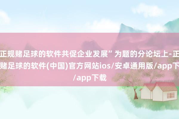 正规赌足球的软件共促企业发展”为题的分论坛上-正规赌足球的软件(中国)官方网站ios/安卓通用版/app下载