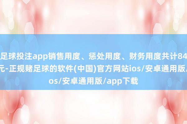 足球投注app销售用度、惩处用度、财务用度共计8434.09万元-正规赌足球的软件(中国)官方网站ios/安卓通用版/app下载